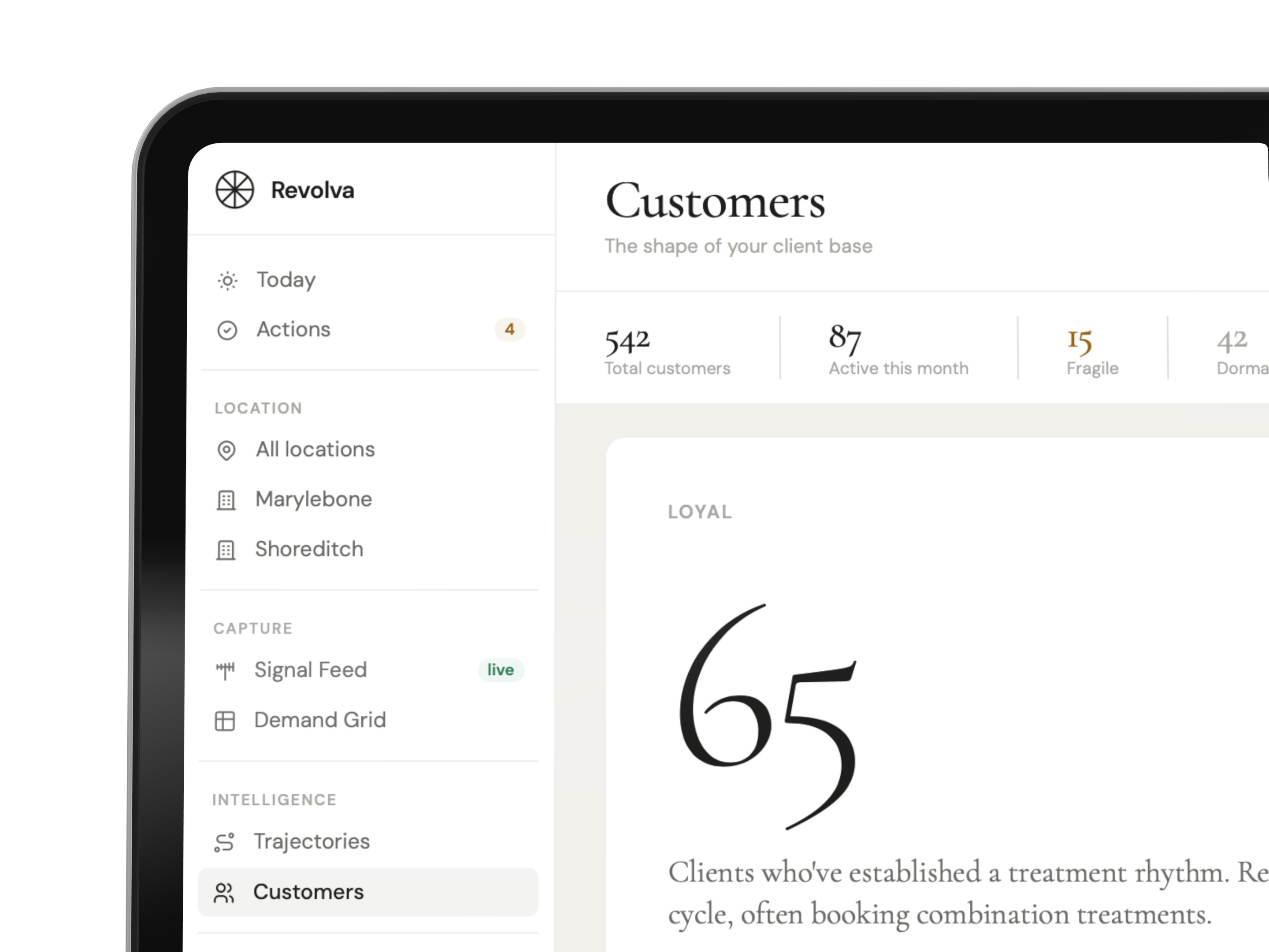 The Revolva Customers overview — the shape of your client base