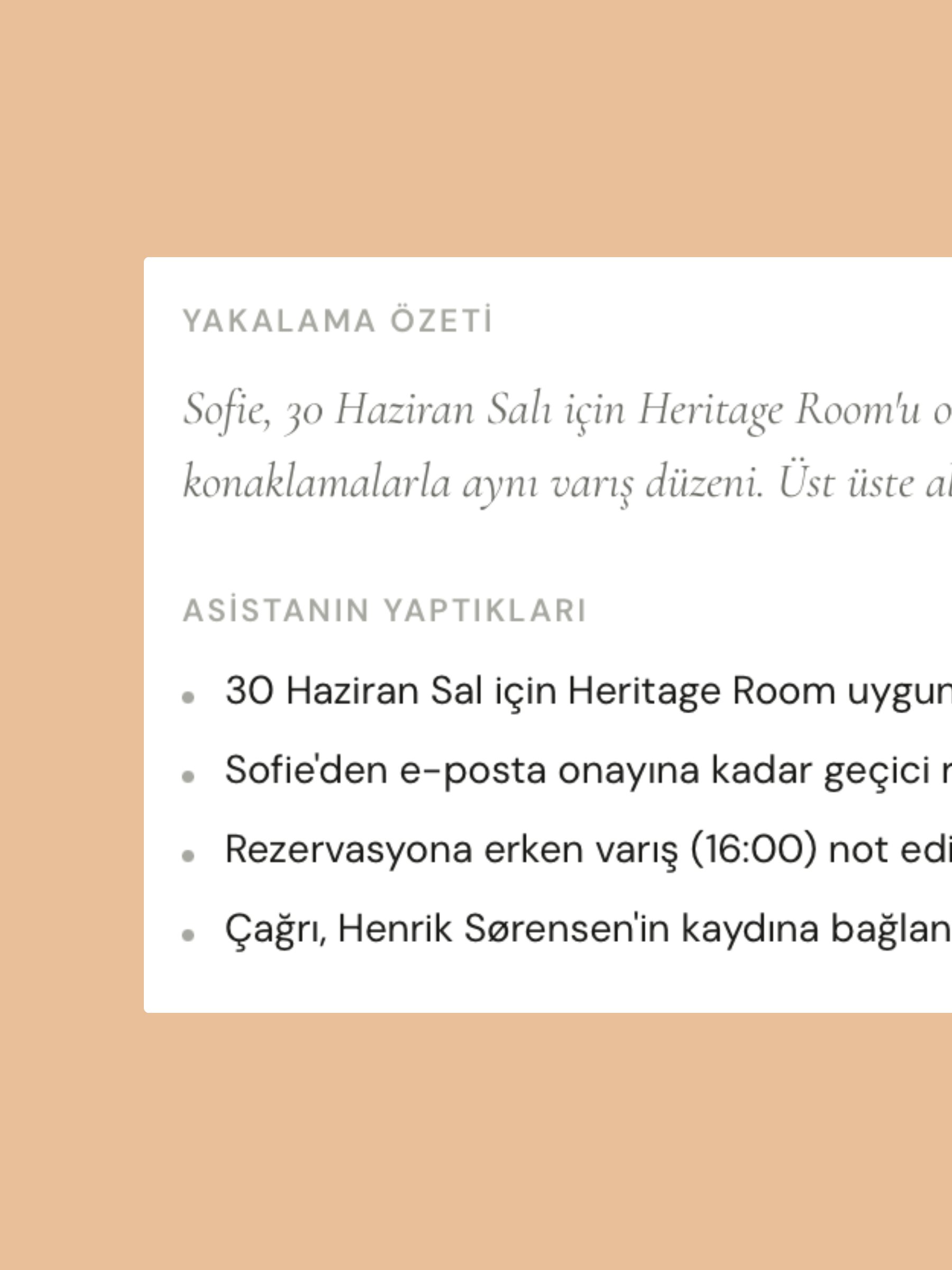 Sesli Ajan — yakalama özeti